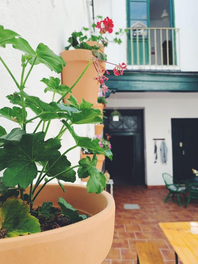 Maria Magdalena - Room 8 Málaga Exterior foto